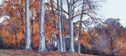 Autumn near Rotherwick, Hampshire I | 2017 | Oil on Canvas | 51 x 77 cm
